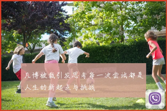 凡博被裁引发思考每一次尝试都是人生的新起点与挑战